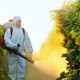 Pesticidas en los alimentos