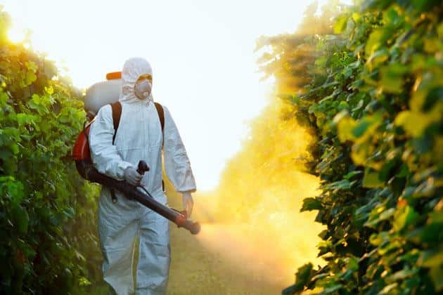 Pesticidas en los alimentos
