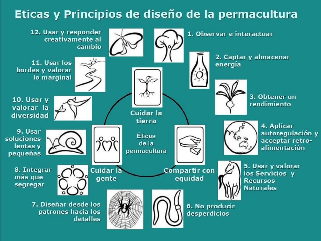 Eticas y principios de diseño en permacultura