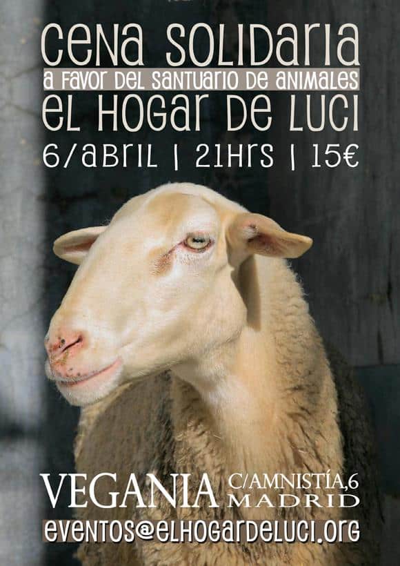 Cena Vegania (El Hogar de Luci) 6 abril 2013