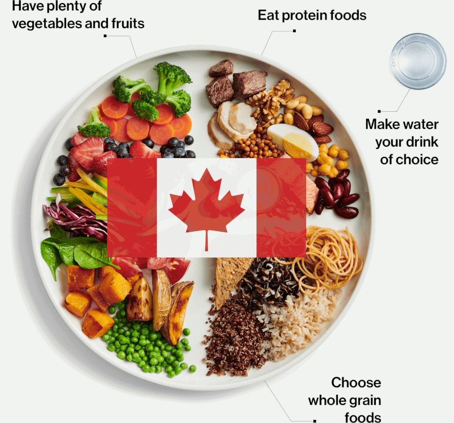 Guia Nutricion Canada 2019