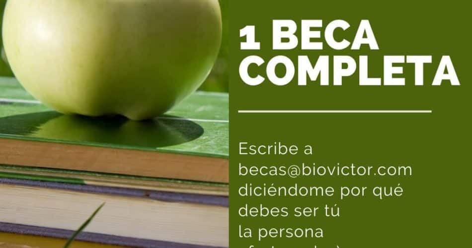¡beca-a-la-vista!-🤩-tienes-hasta-al-30-de-abril-para-apuntarte.